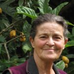 רותי בן דוד